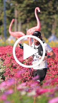 BIB:  <button type="button" onclick="openModal(27588547)" class="btn btn-primary btn-sm float-right" data-toggle="modal" data-target=".modal-high-quality">
                <i class="fa fa-download"></i> Download
                </button>